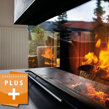 オーバーシュタウフェン Wald Loungeヴィラ エクステリア 写真